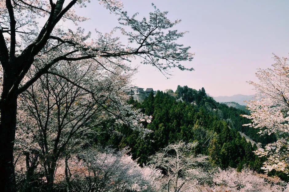 白居易诗王还是诗魔_白居易的诗_白居易诗歌