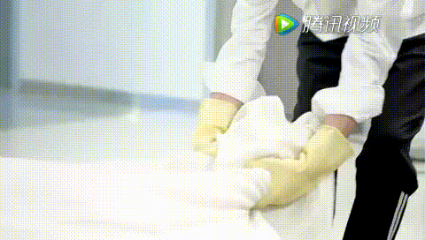 狐狸的夏天第二季_狐狸的夏天第二季_狐狸的夏天第二季