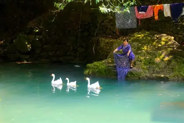 长江三峡豪华旅游船_长江三峡豪华游轮内部图片_长江三峡旅游豪华游轮