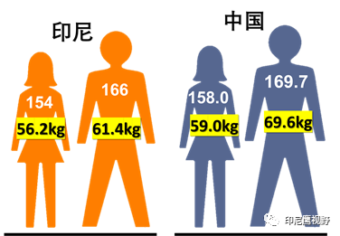 平均身高男女中国比例_中国男女平均身高_平均身高男女中国占比