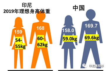 平均身高男女中国比例_平均身高男女中国占比_中国男女平均身高