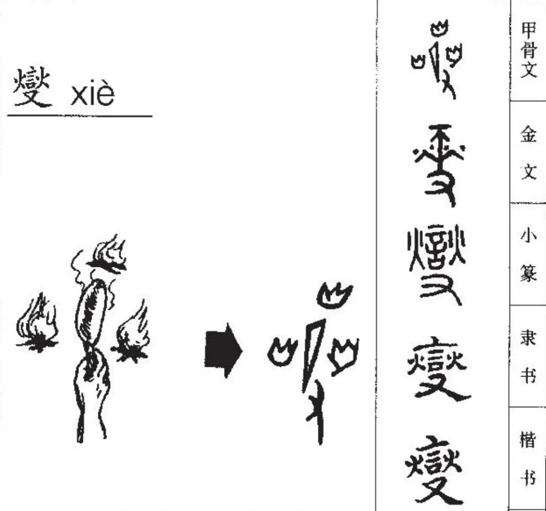 燮的意思_燮_盛燮