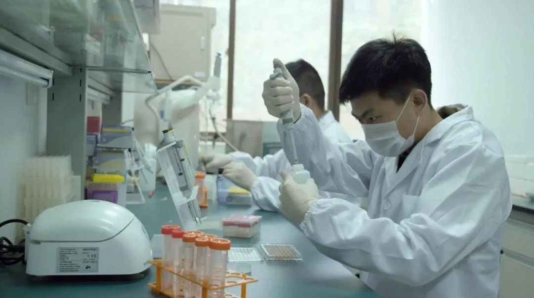 南京体育学院研究生院2021_南京体育学院研究生院_南京体育学院研究生招生专业