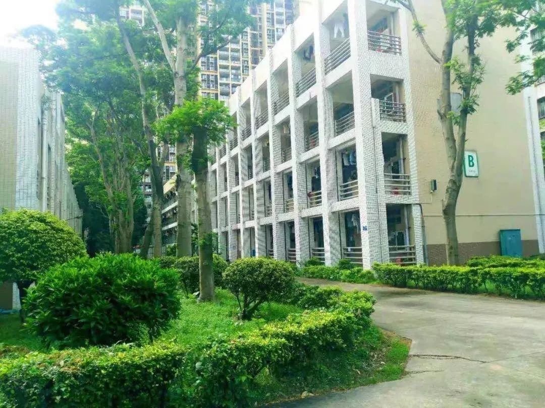仲恺教务_仲恺教务管理系统_教务网仲恺