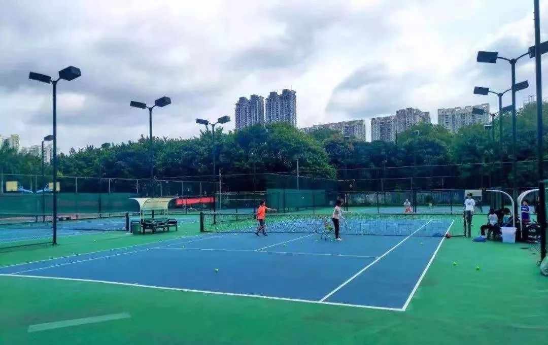 仲恺教务_教务网仲恺_仲恺教务管理系统