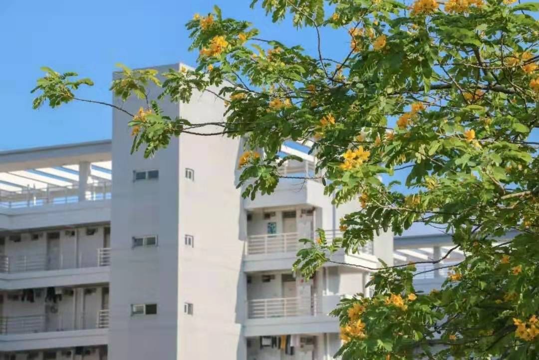 教务网仲恺_仲恺教务管理系统_仲恺教务