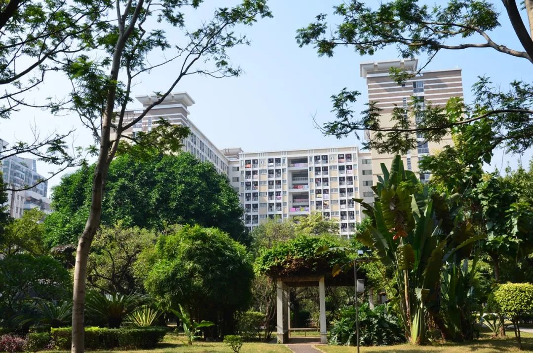 教务网仲恺_仲恺教务_仲恺教务管理系统