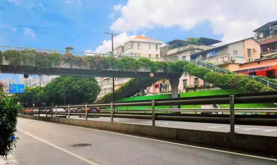 教务网仲恺_仲恺教务_仲恺教务管理系统