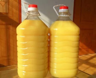 玉米出油量_为什么说玉米油是最差的油_玉米产油