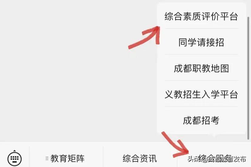 成都市中学生素质综合教育平台_都城综合素质特训营_do都城综合素质训练营