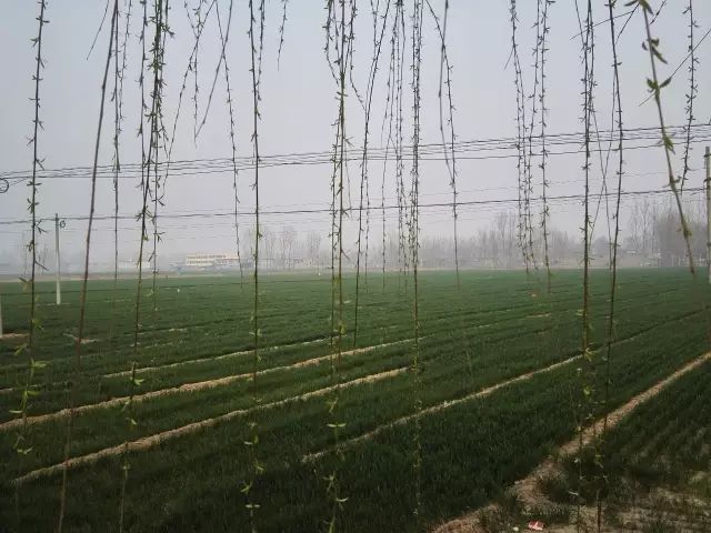 汲冢纪年_汲冢_汲冢书