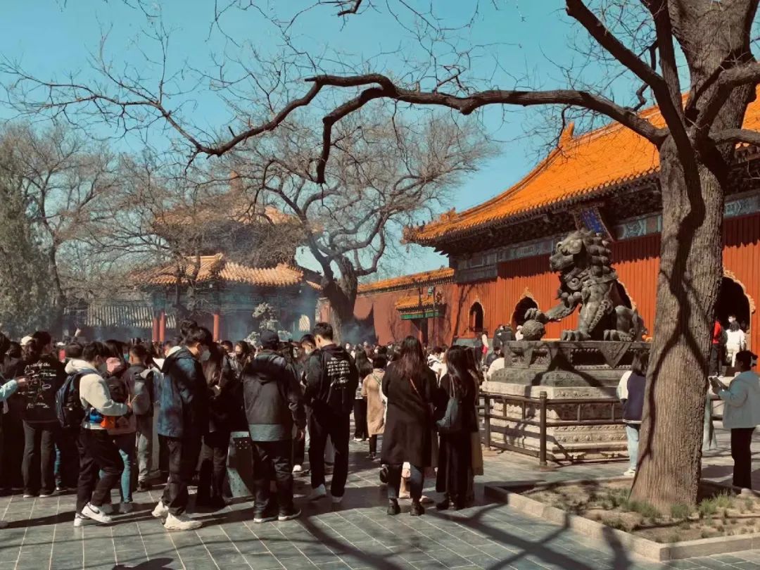 琉璃手镯_琉璃手镯对人体有害吗_琉璃手镯值钱吗