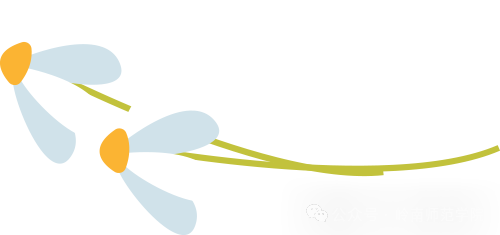 本科教学与服务平台_本科教学管理与服务平台_本科教学与管理平台