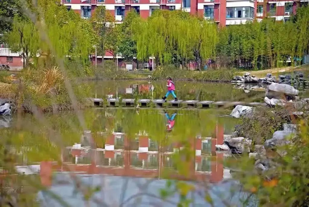 金华卫校在哪里_金华卫校_金华卫校门诊部地址