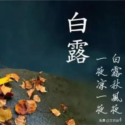 晴空一鹤排云上的鹤有何妙用_晴空一鹤排云上_晴空一鹤排云上的鹤