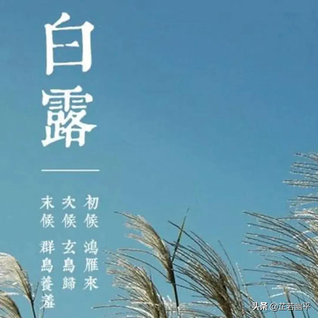 晴空一鹤排云上的鹤有何妙用_晴空一鹤排云上的鹤_晴空一鹤排云上