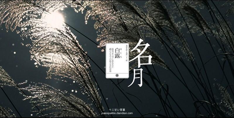 晴空一鹤排云上的鹤_晴空一鹤排云上_晴空一鹤排云上的鹤是什么意思
