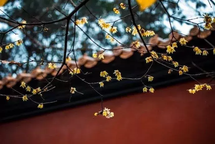 汲汲顾影_汲汲什么影成语_汲汲顾影惟日不足什么意思