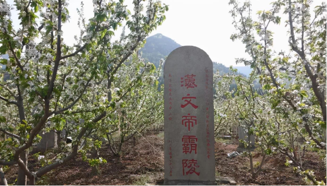 绨_绨袍怎么读_绨袍