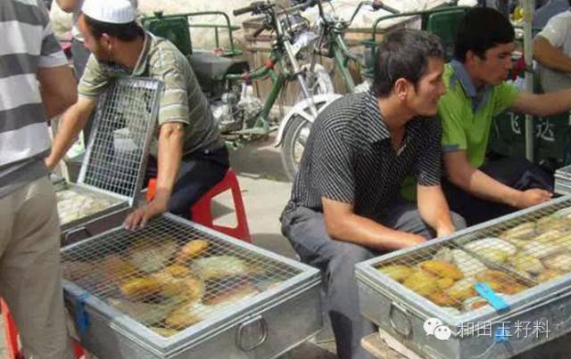 米达料和田玉属于什么档次_米达料等级划分_米达料于田料