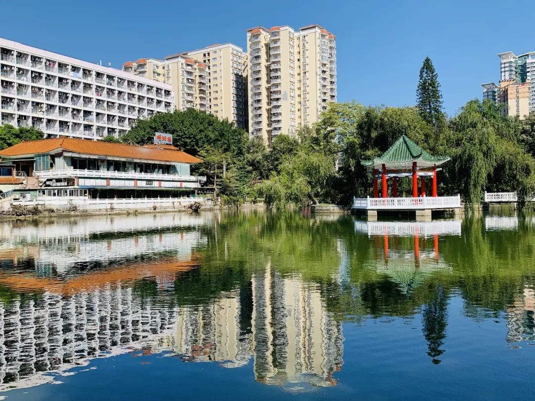 国家生源地助学贷款系统官网_生源地区助学贷款官网_生源地国家助学贷款官网登录