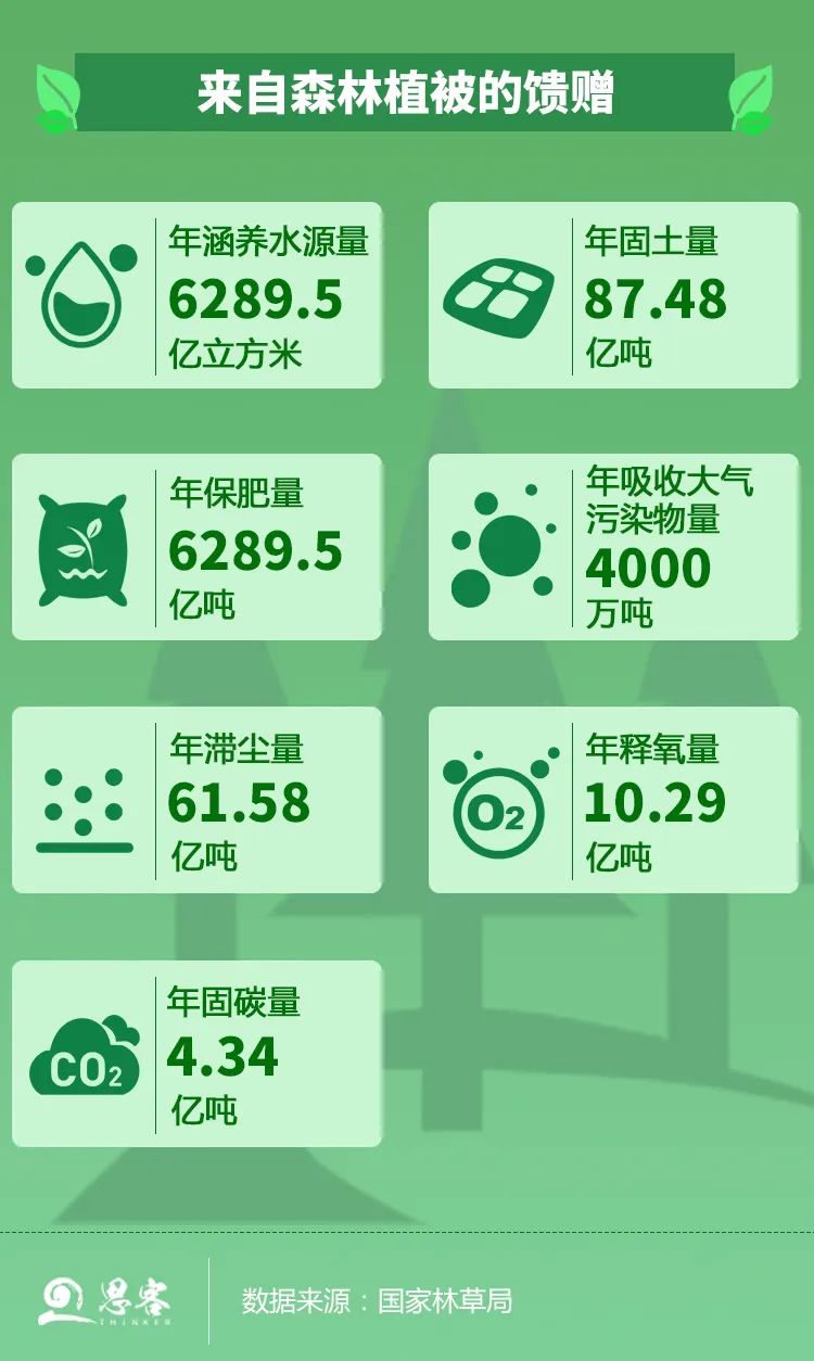 绿茶的功效与作用_绿绿_绿萝