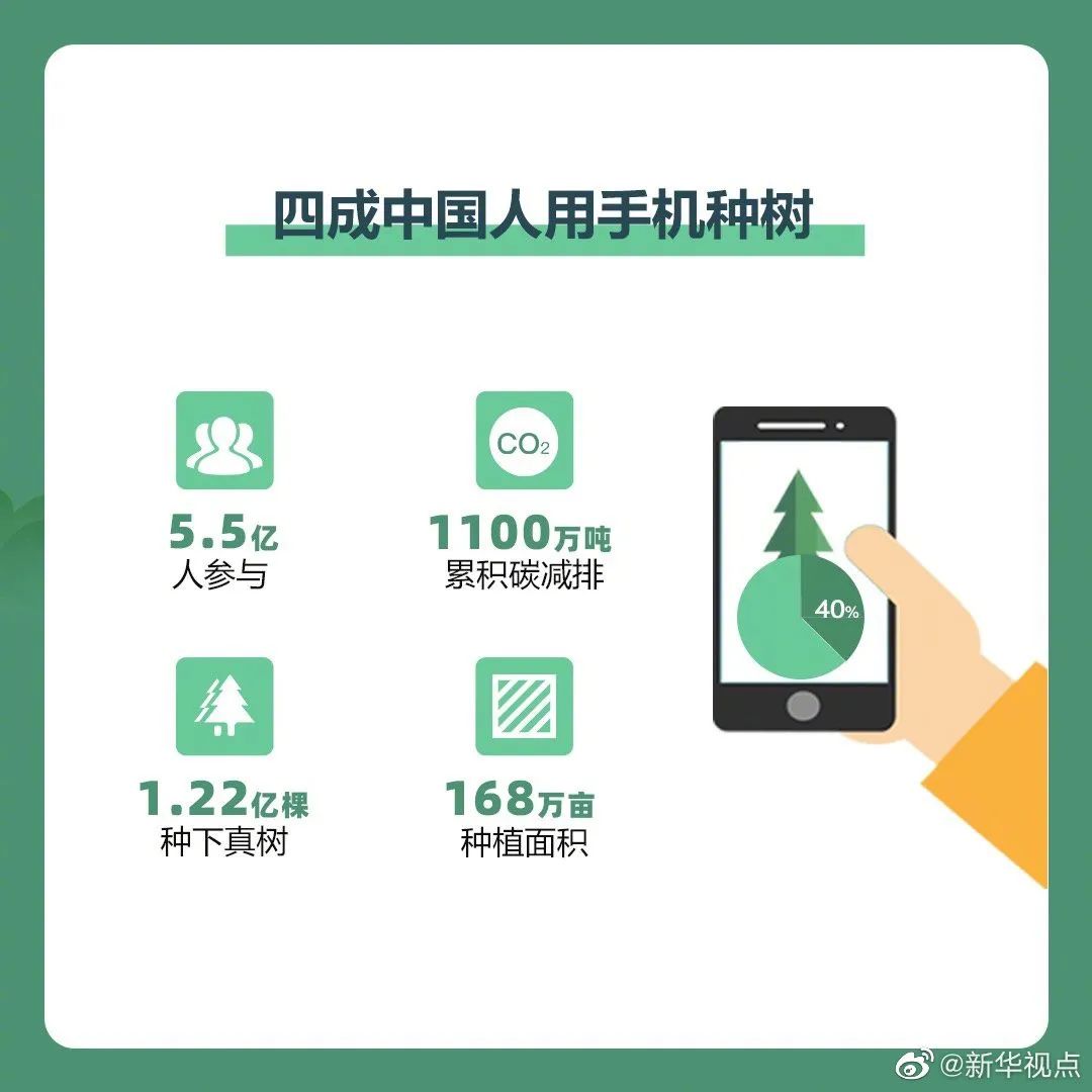 绿萝_绿茶的功效与作用_绿绿