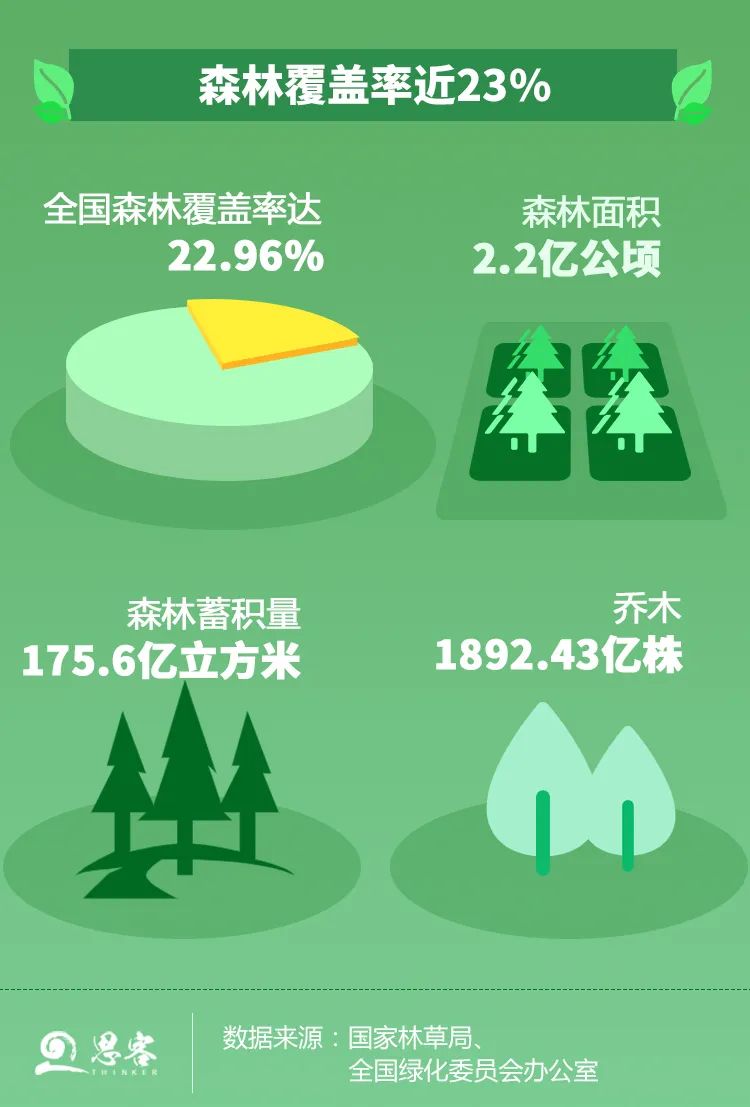 绿萝_绿茶的功效与作用_绿绿
