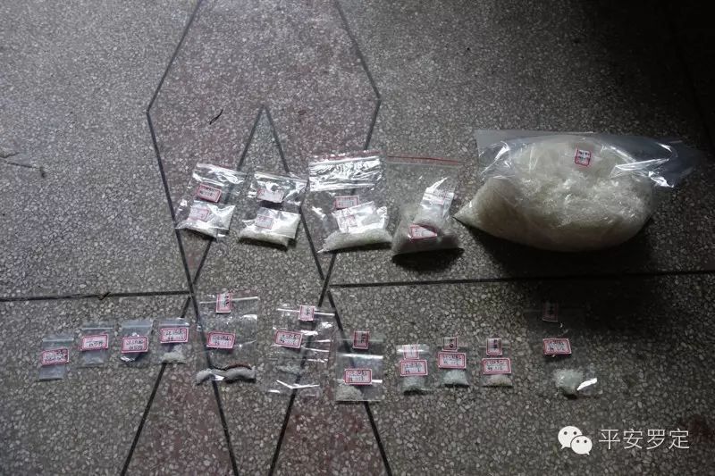 黄牛木树图片_黄牛木寄生的功效与主治_黄牛木