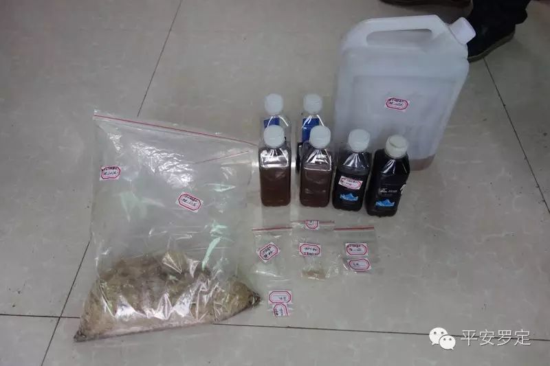 黄牛木寄生的功效与主治_黄牛木树图片_黄牛木