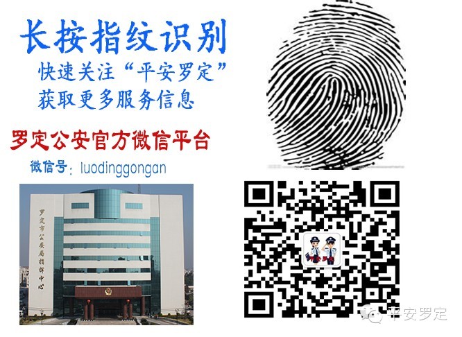黄牛木_黄牛木寄生的功效与主治_黄牛木树图片