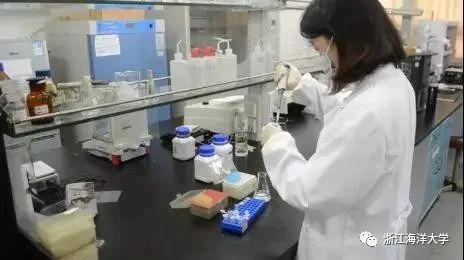浙江海洋大学教务处官网_浙江海洋大学教务管理系统_浙江海洋学院教务处