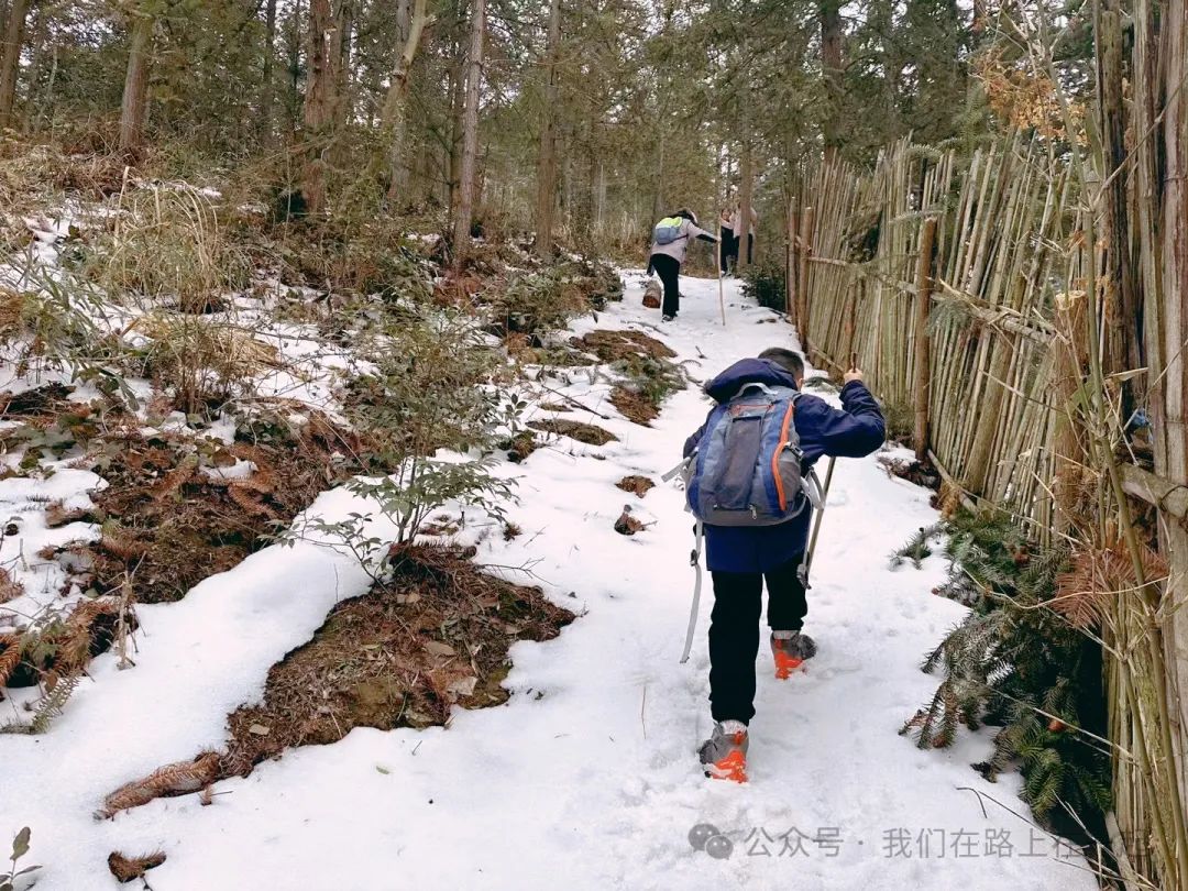 组词成语字典大全_成组词_组词成句