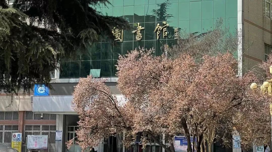 河北经贸大学招生视频_河北经贸大学本科招生网_河北大学经贸学院官网
