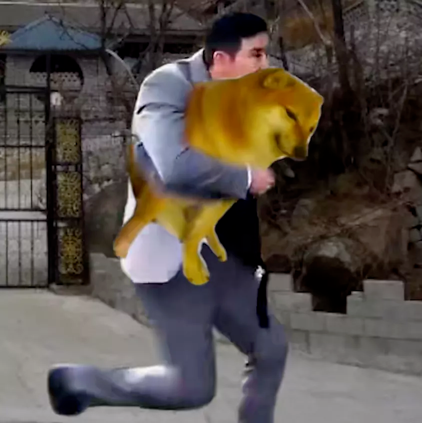 我是真的会谢是什么梗_我是真的会谢是什么梗_我是真的会谢是什么梗