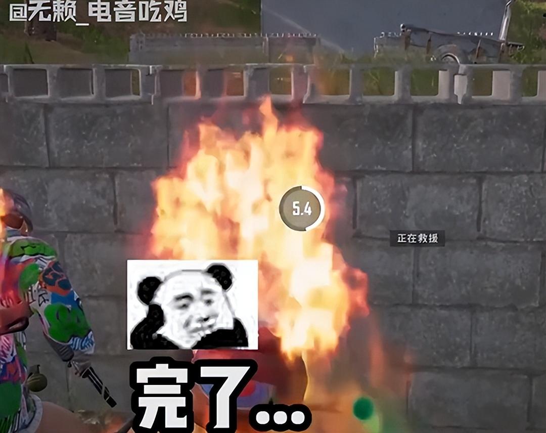 我是真的会谢是什么梗_我是真的会谢是什么梗_我是真的会谢是什么梗