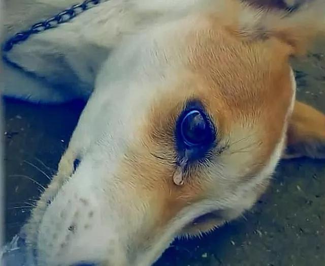 驸马圈_驸马圈_驸马圈