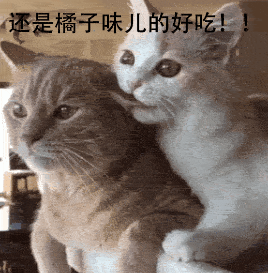 不听不听王八念经图片_王八讲经_王八念经