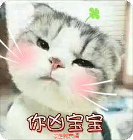 不听不听王八念经图片_王八念经_王八讲经