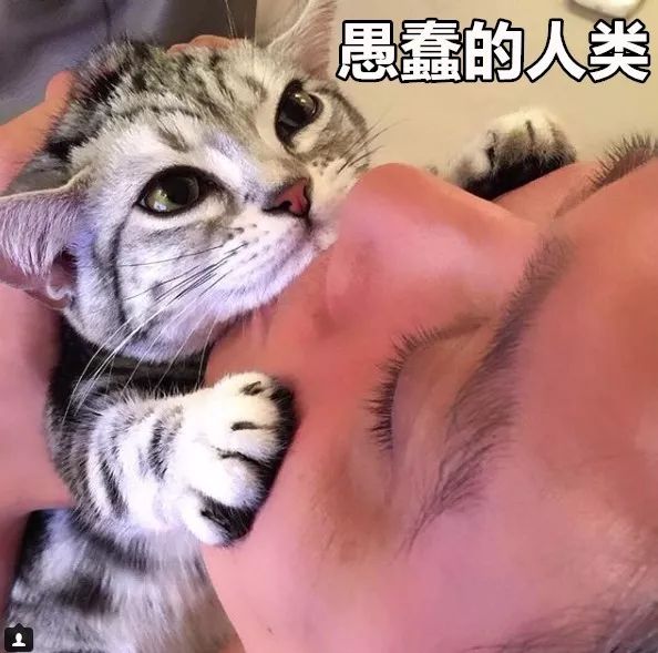 不听不听王八念经图片_王八念经_王八讲经