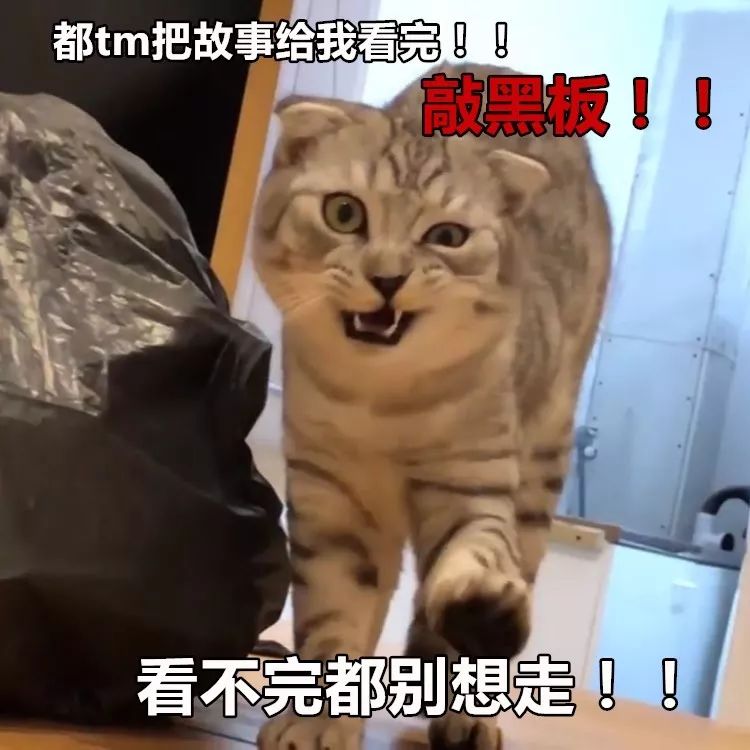 王八念经_不听不听王八念经图片_王八讲经
