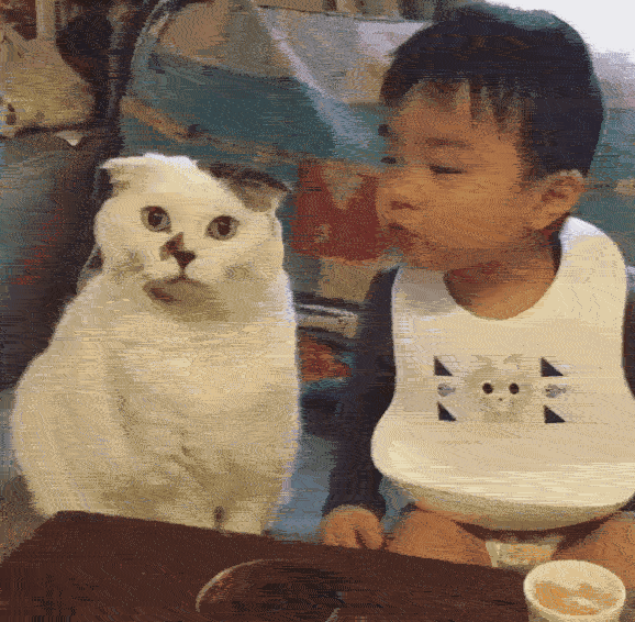 王八念经_王八讲经_不听不听王八念经图片