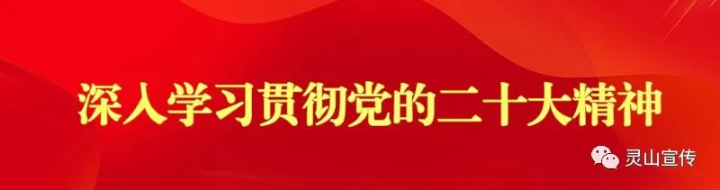灵山县人民政府_灵山县人民政府征兵办公室_灵山县人民政府领导班子成员