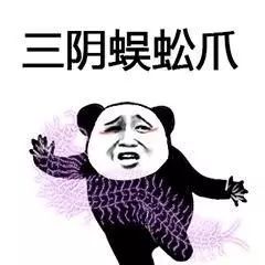 二货是什么意思_二货是什么词_二货是贬义词吗