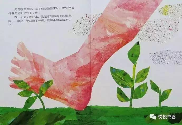 种子小营养物质不足_种子小的植物有哪些_小种子