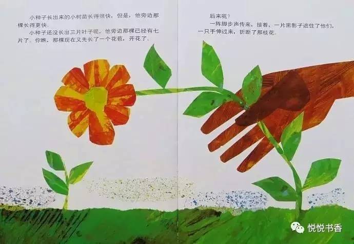 种子小营养物质不足_种子小的植物有哪些_小种子