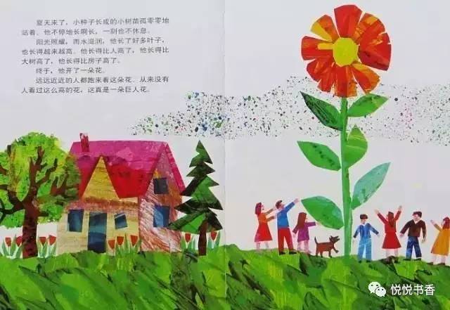 小种子_种子小营养物质不足_种子小的植物有哪些