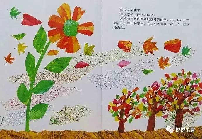 种子小营养物质不足_小种子_种子小的植物有哪些