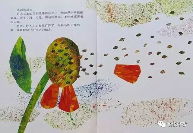 种子小的植物有哪些_种子小营养物质不足_小种子