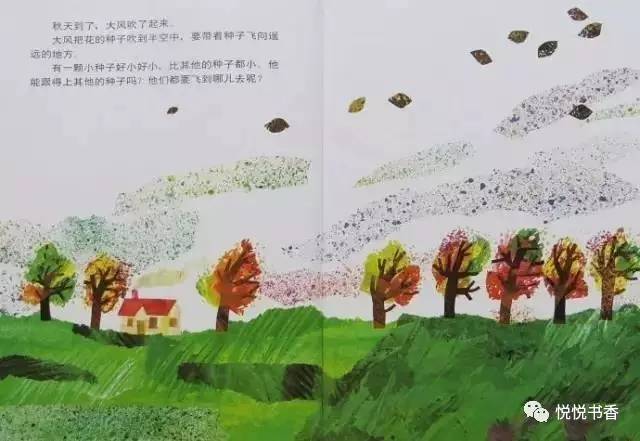 小种子_种子小营养物质不足_种子小的植物有哪些